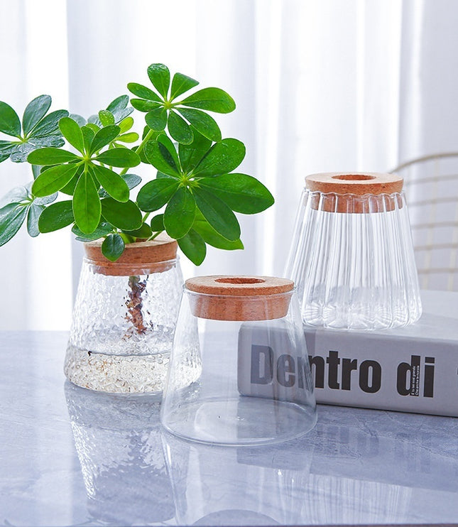 Minimalist Hydroponic Glass Vase with Cork Lid – Desktop Display