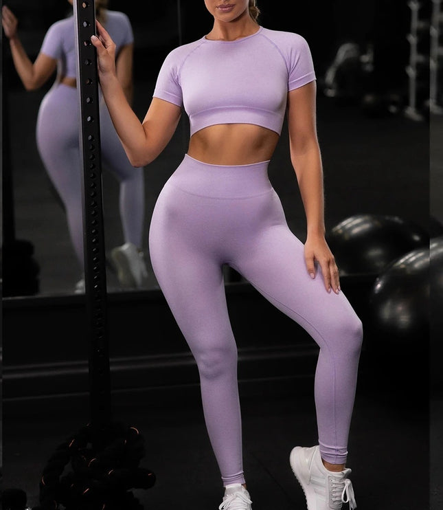Seamless Yoga Sport Set Fitness Women Running Leggings Short Sleeve Tops
