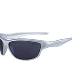Silver Frame