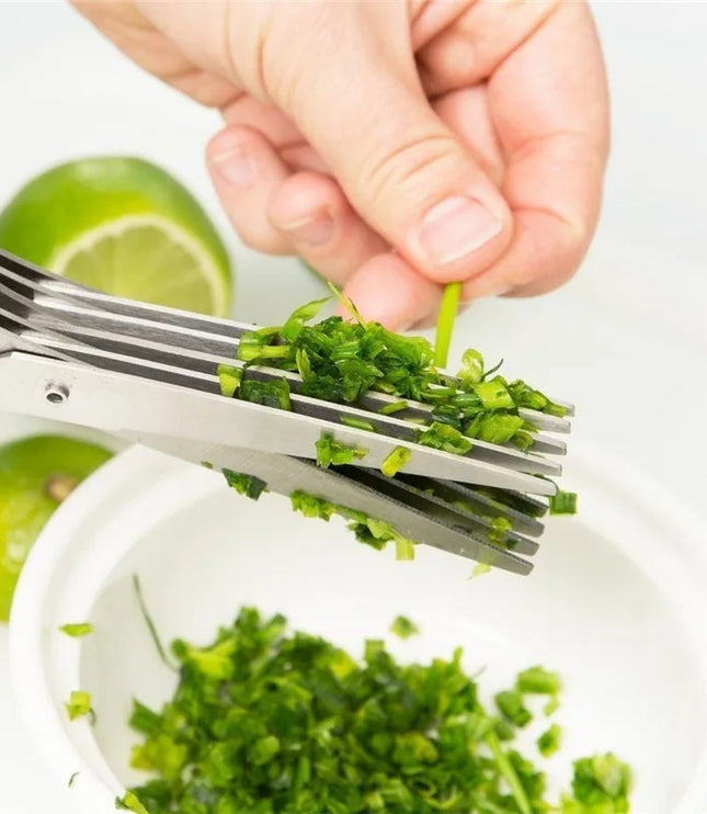 Multifunctional Multi-layer Green Onion Scissors Stainless Steel Onion Cutting Knife Herb Seaweed Spice Scissors Kitchen Scissor Kitchen Gadgets