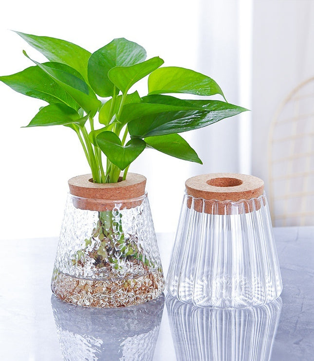 Minimalist Hydroponic Glass Vase with Cork Lid – Desktop Display
