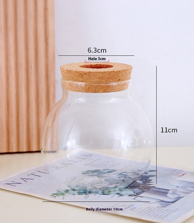 Minimalist Hydroponic Glass Vase with Cork Lid – Desktop Display