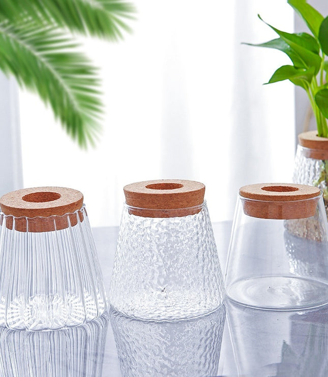 Minimalist Hydroponic Glass Vase with Cork Lid – Desktop Display