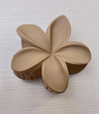 Light Brown Frosted