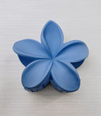 Blue Matte